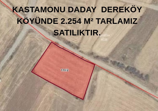 Fotoğraf